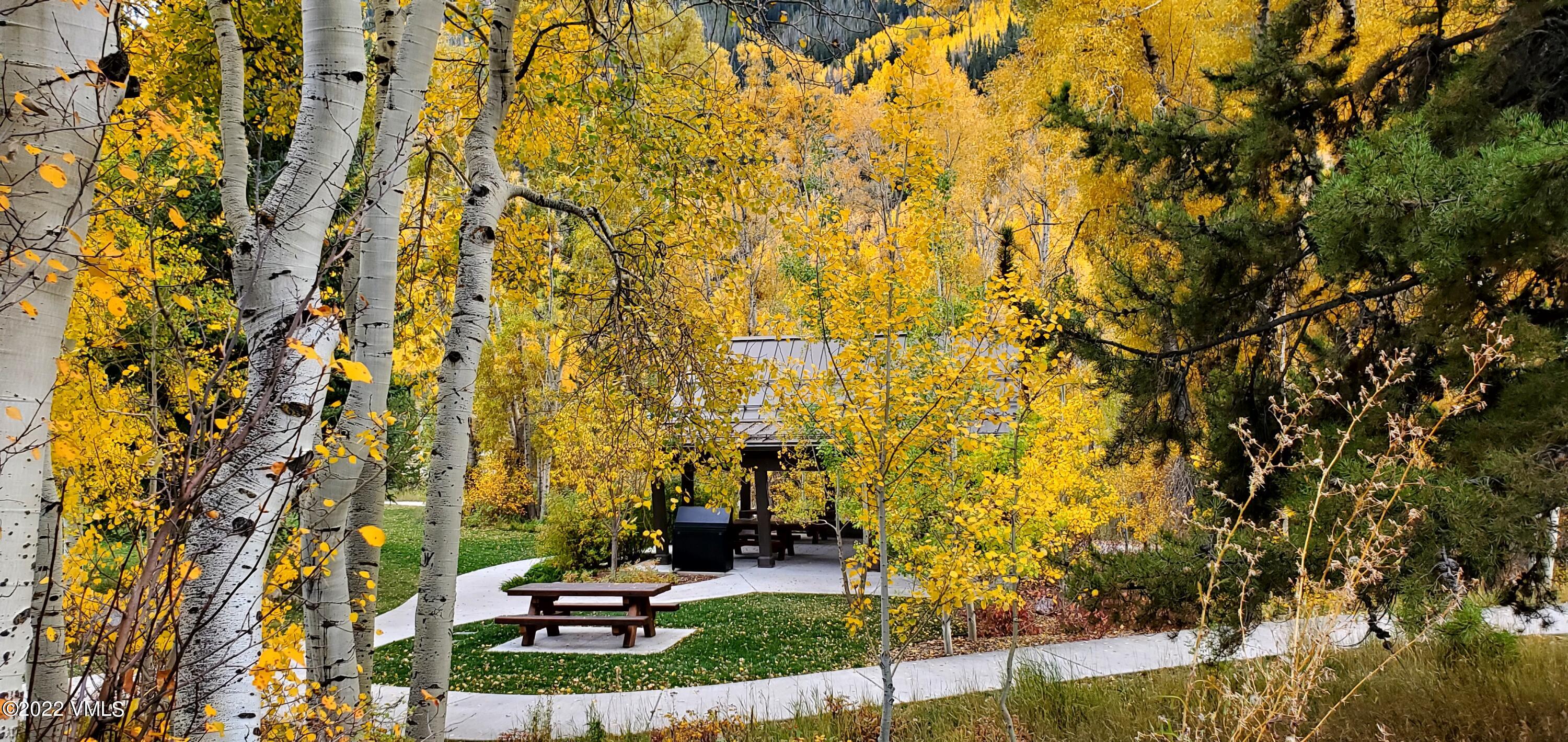 2960 Manns Ranch Road, Unit B Vail, CO 81657 - Photo 34 of 37 Picnic Area