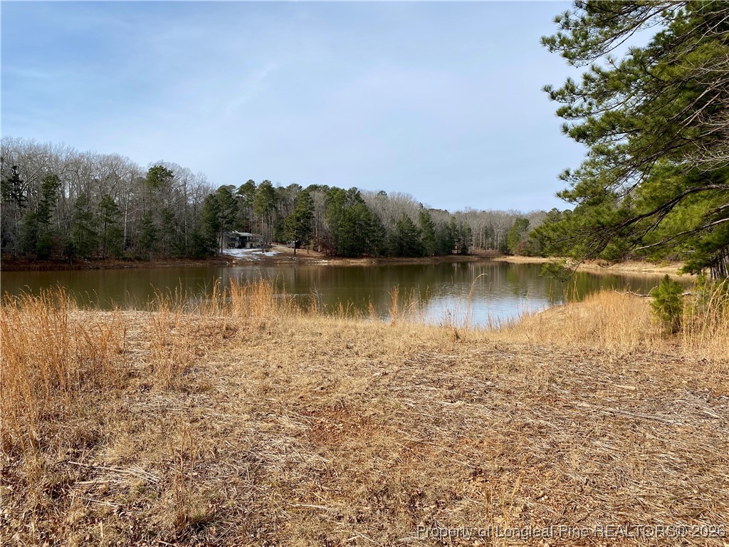 Western Trail Carthage, NC 28327 - Photo 3 of 14