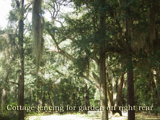 8250 Chisolm Plantation Road Edisto Island, SC 29438 - Photo 8 of 27 11