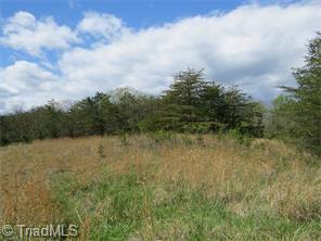 1335 Peewee Cromer Road Danbury, NC 27016 - Photo 12 of 22 Gallery Image 12