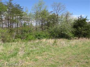 1335 Peewee Cromer Road Danbury, NC 27016 - Photo 14 of 22 Gallery Image 14