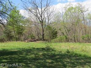1335 Peewee Cromer Road Danbury, NC 27016 - Photo 15 of 22 Gallery Image 15