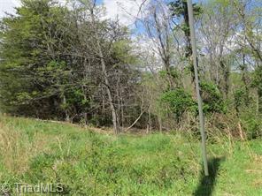 1335 Peewee Cromer Road Danbury, NC 27016 - Photo 10 of 22 Gallery Image 10