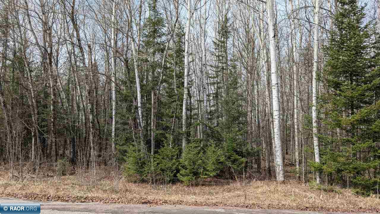 Lot 7 Lund Road Cook, MN 55723 - Photo 2 of 6