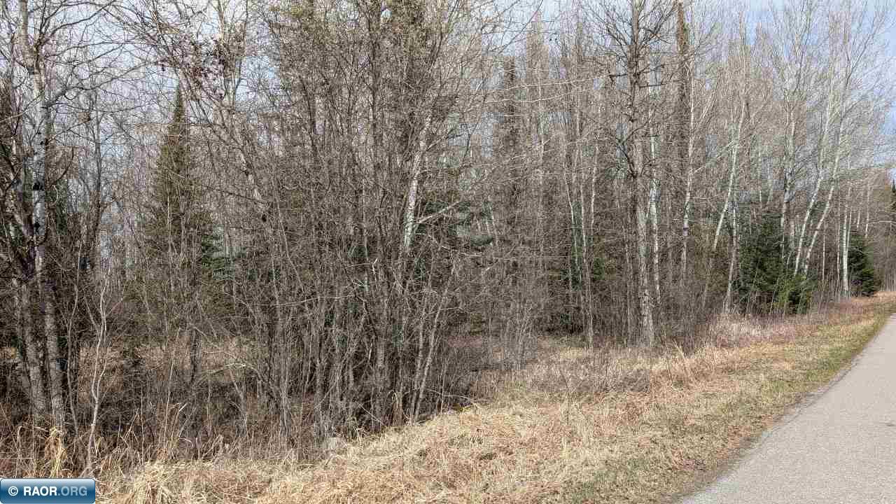 Lot 7 Lund Road Cook, MN 55723 - Photo 3 of 6