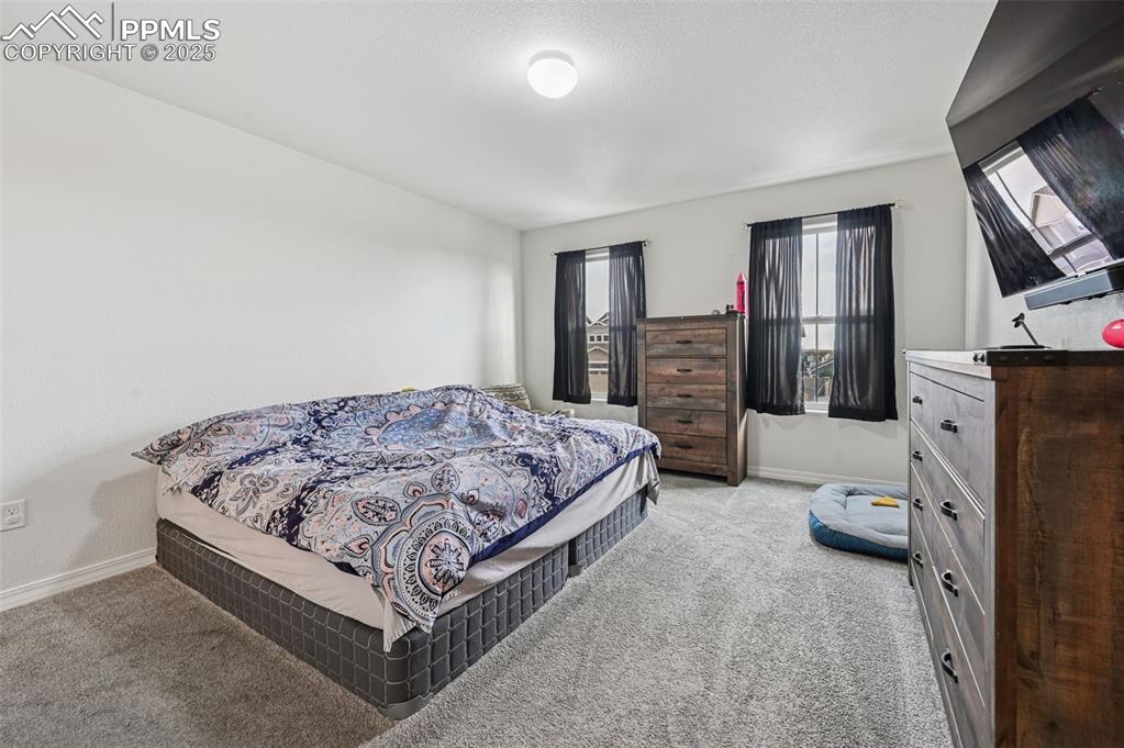 4391 Gneiss Loop Colorado Springs, CO 80938 - Photo 13 of 28