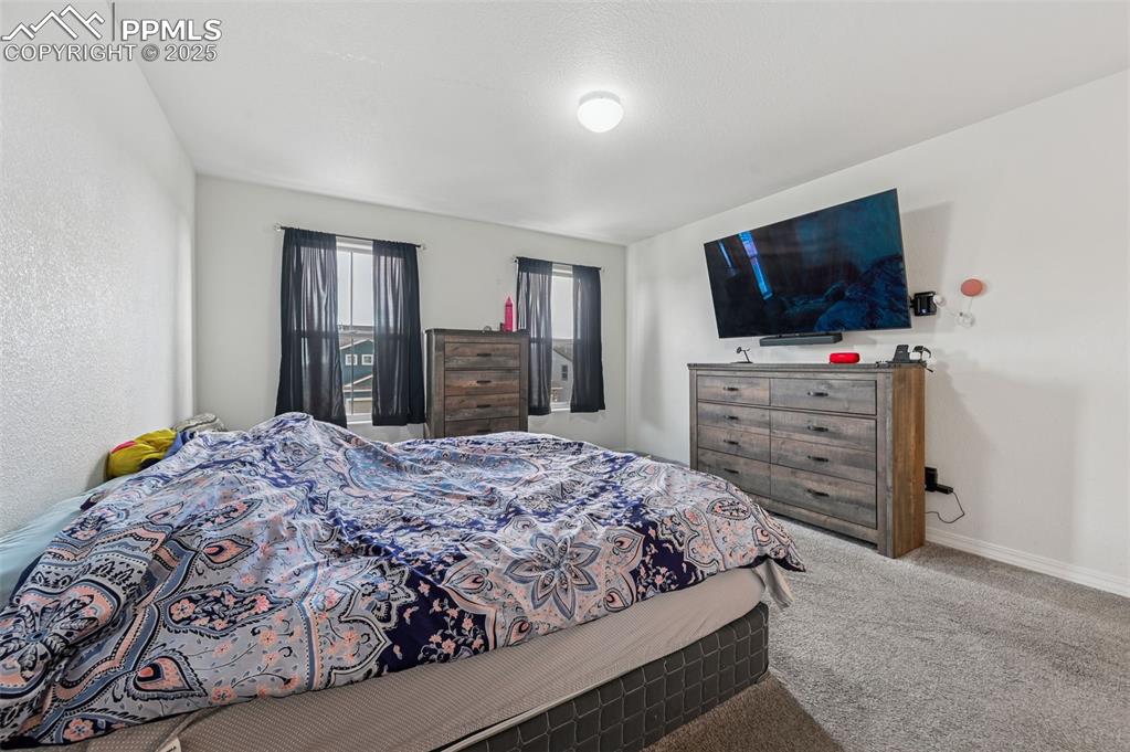 4391 Gneiss Loop Colorado Springs, CO 80938 - Photo 14 of 28