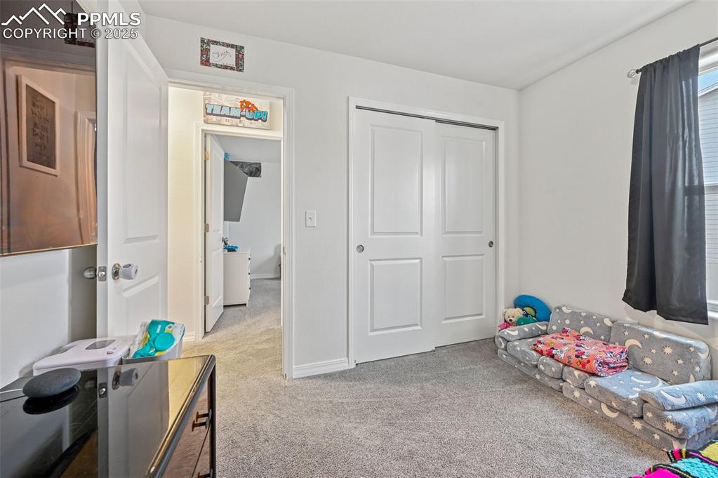 4391 Gneiss Loop Colorado Springs, CO 80938 - Photo 18 of 28