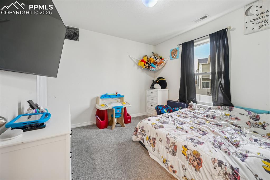 4391 Gneiss Loop Colorado Springs, CO 80938 - Photo 20 of 28