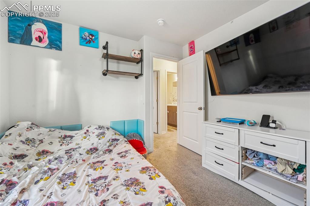 4391 Gneiss Loop Colorado Springs, CO 80938 - Photo 21 of 28