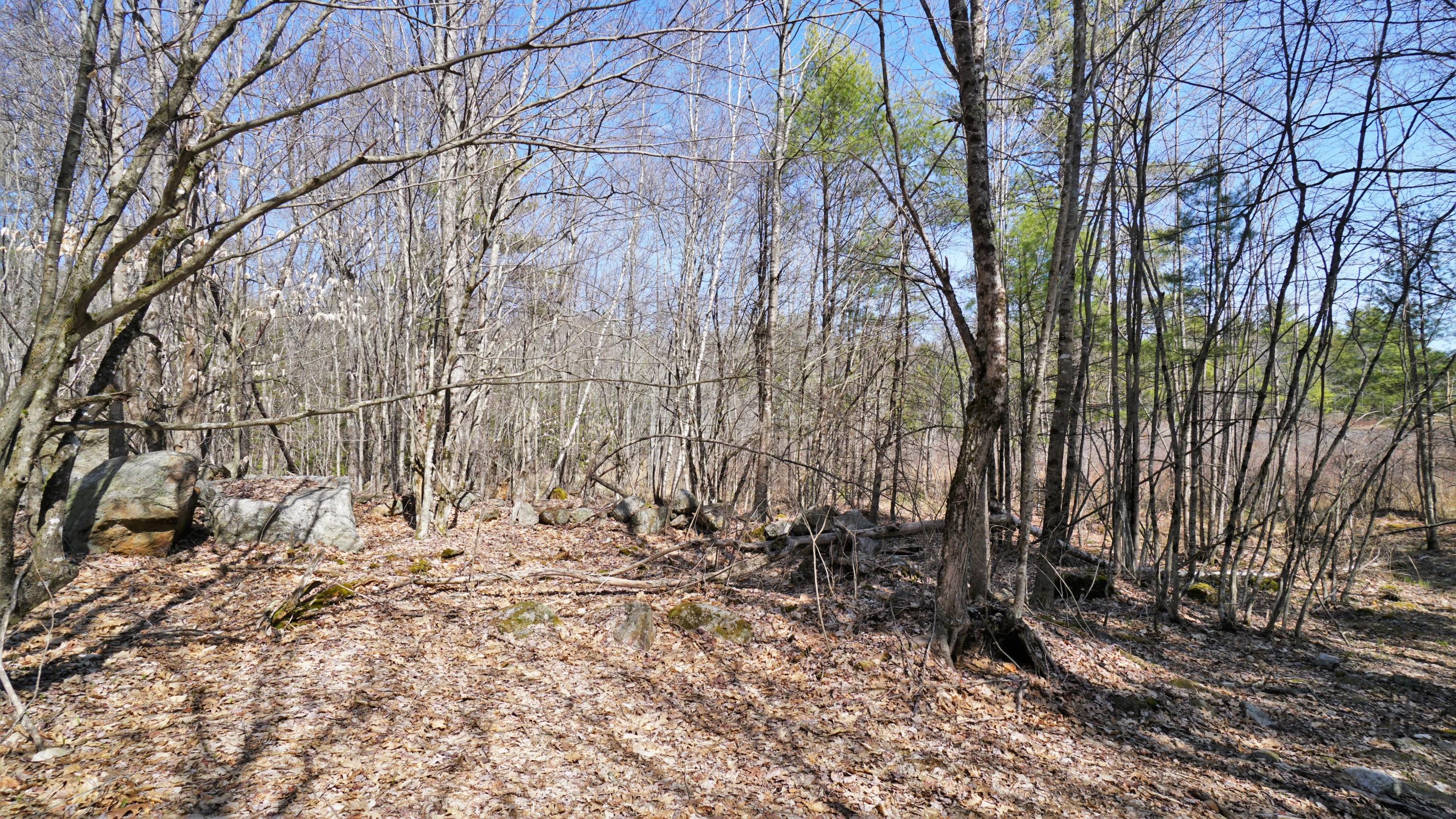 19 Edgecomb Road Acton, ME 04001 - Photo 10 of 21 DSC02792