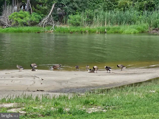 $420,000 | 20395 Bowles Road, Coltons Point, MD 20626