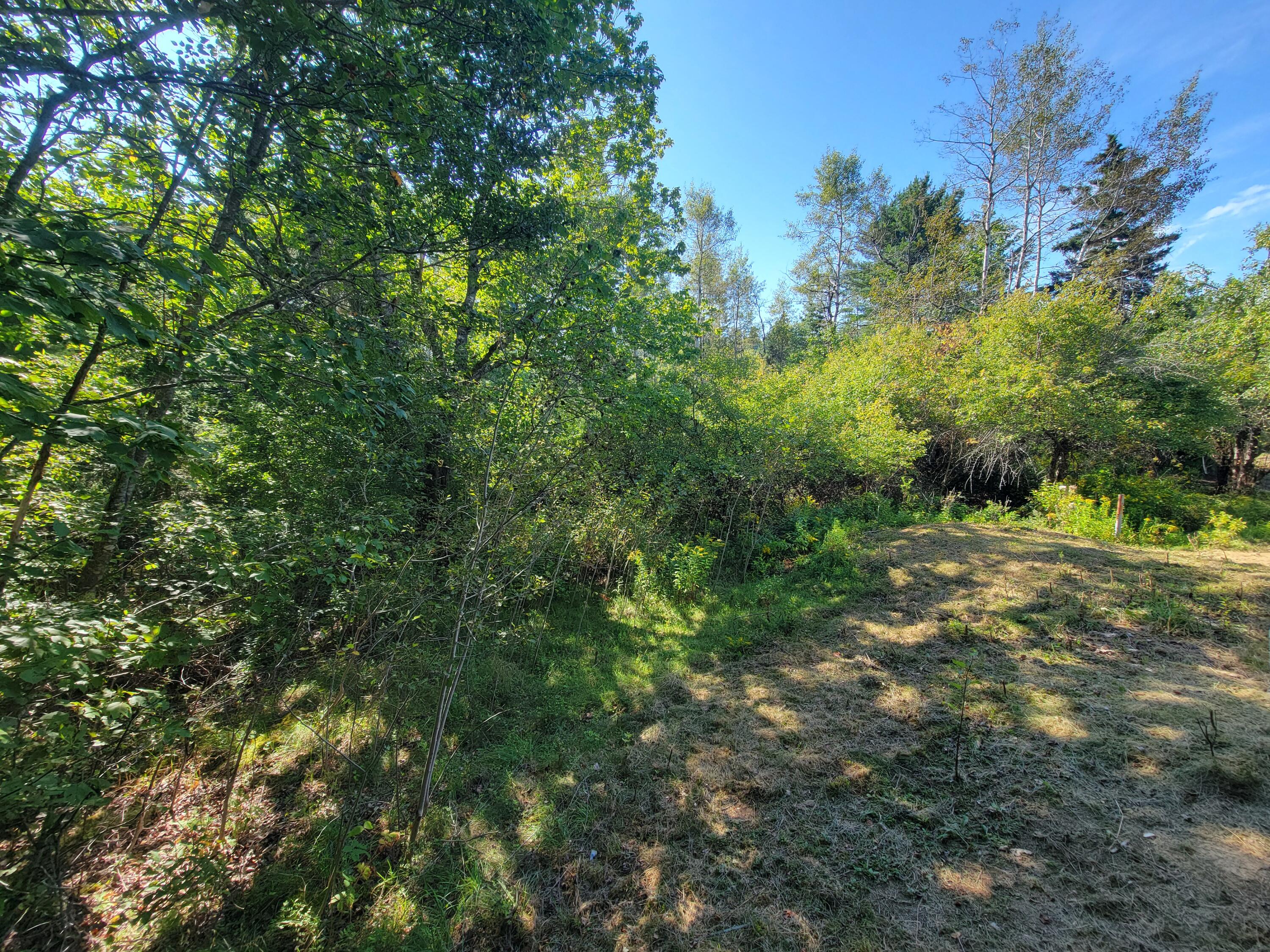 965 South River Road Calais, ME 04619 - Photo 30 of 41 1000020074