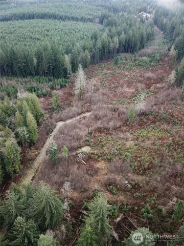 a view of a field with lots of trees