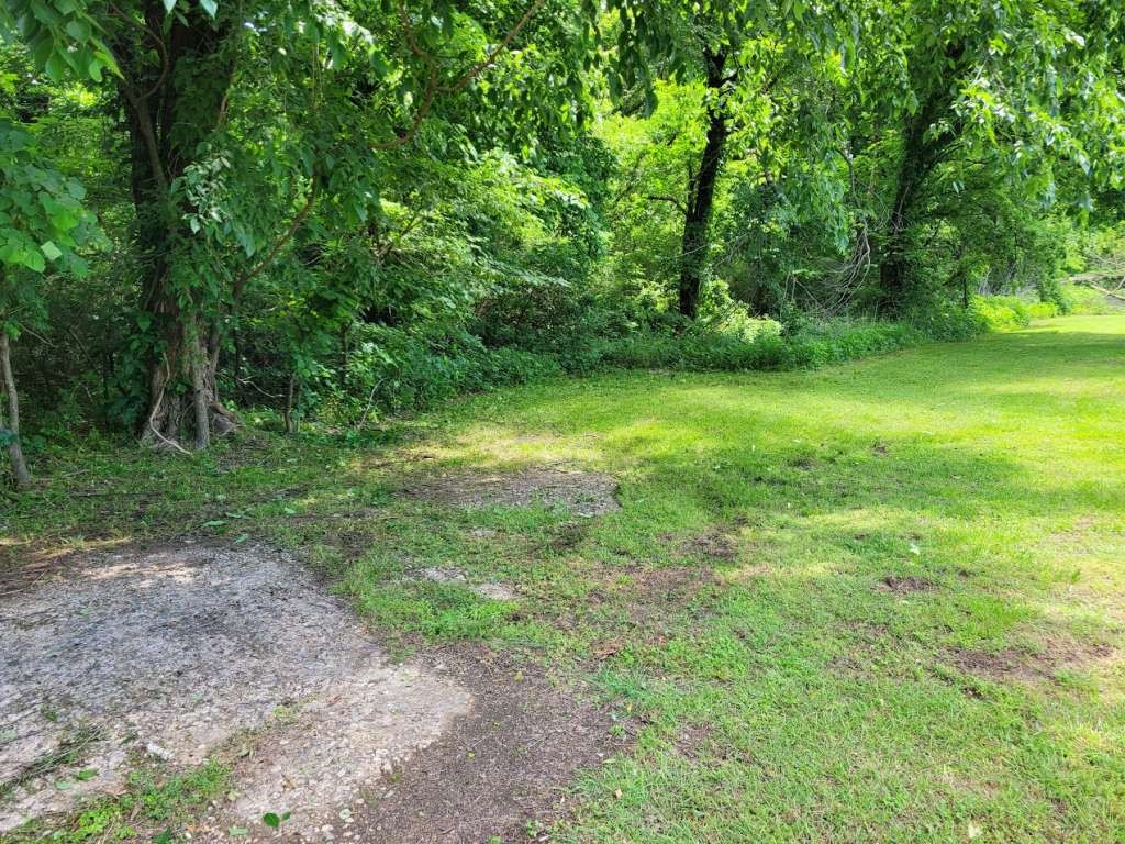 a view of a yard with a trees