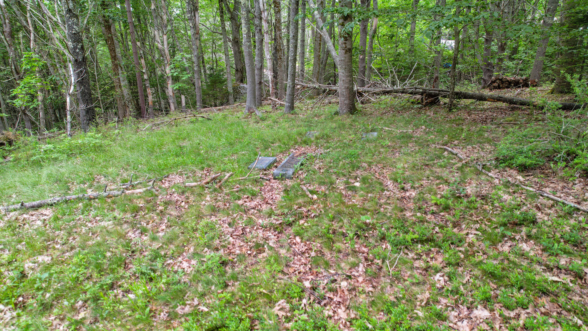 0 Front Ridge Road Orland, ME 04472 - Photo 11 of 17 00 Front Ridge Road, Orland, ME 04472
