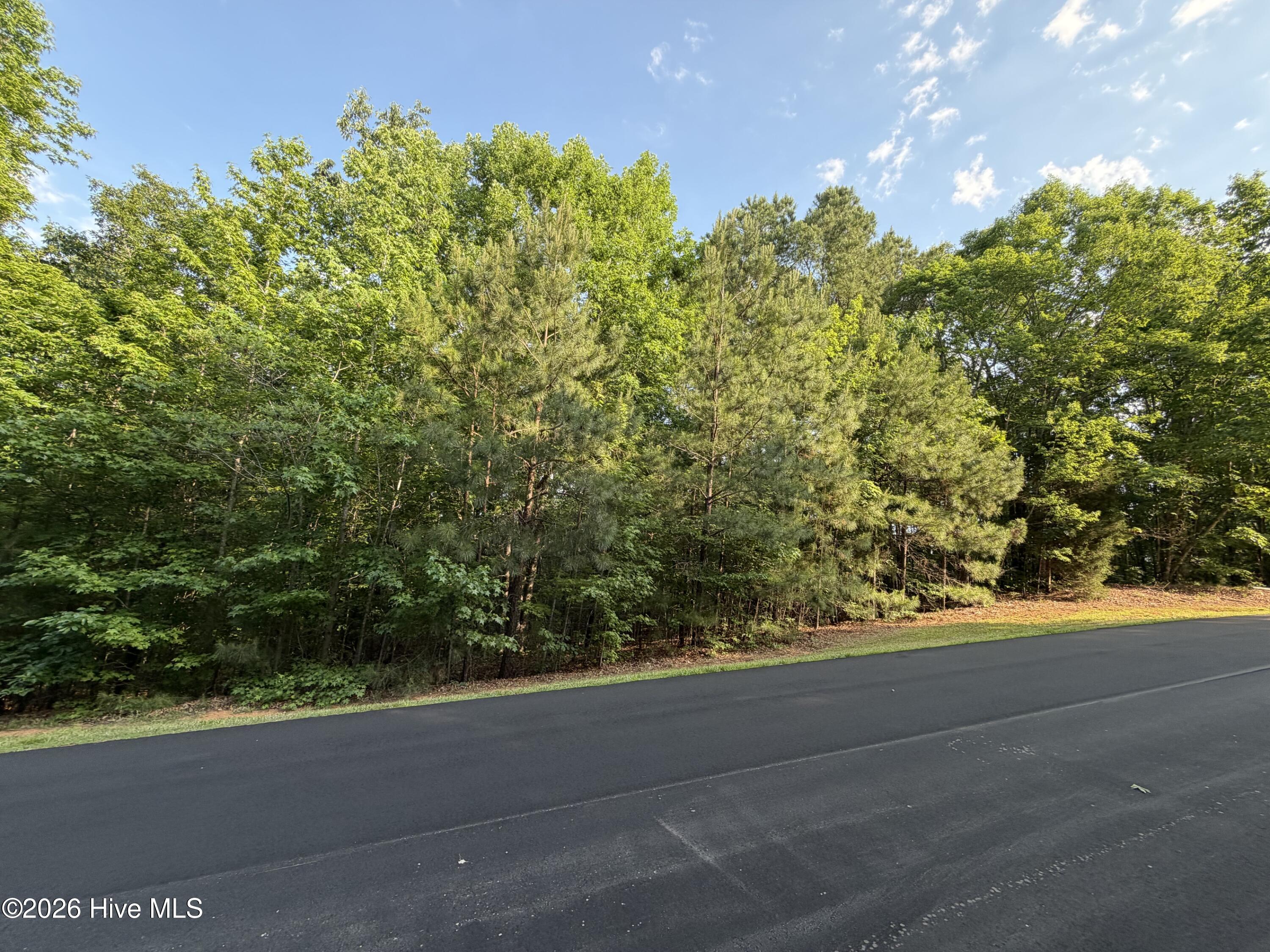 150 Watsons Way Rockingham, NC 28379 - Photo 2 of 7 Lot 28
