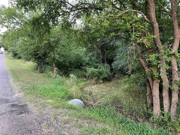 a view of forest