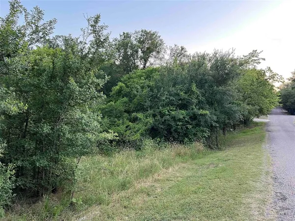 a view of a lush green forest