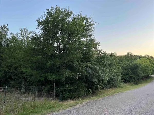 a view of a field with trees in the background