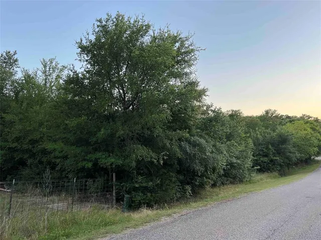a view of a field with trees in the background