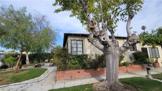 a tree in front of a house with a yard