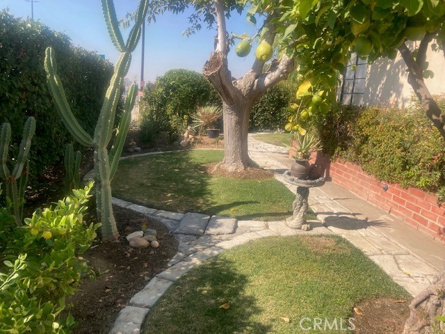 2701 Berkeley Street Bakersfield, CA 93305 - Photo 24 of 58 a view of a garden with a tree