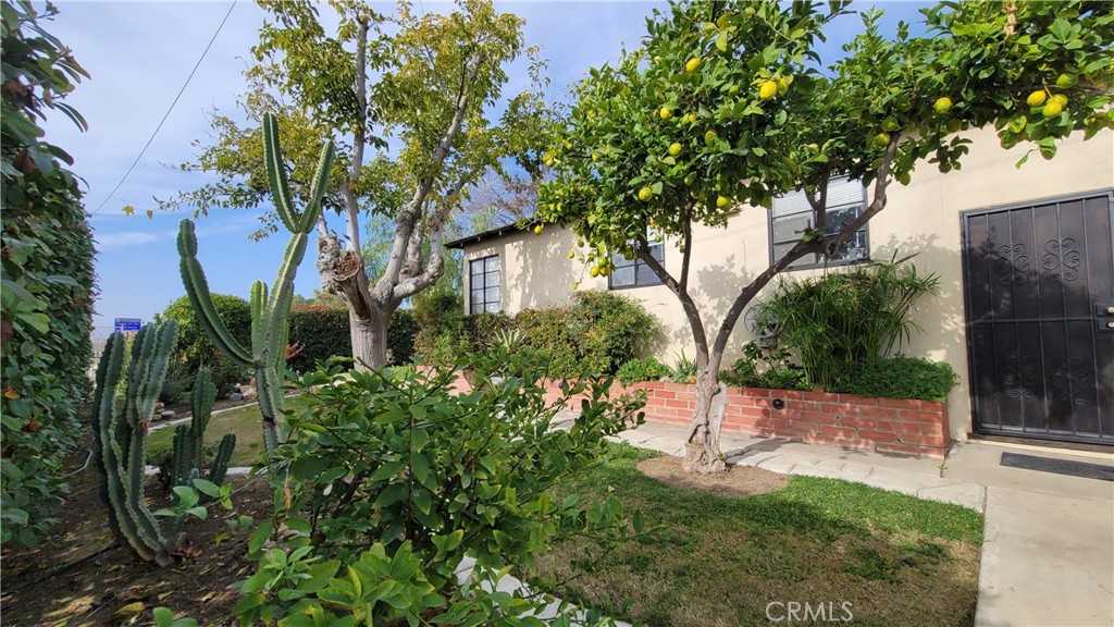 2701 Berkeley Street Bakersfield, CA 93305 - Photo 3 of 58 a view of a backyard