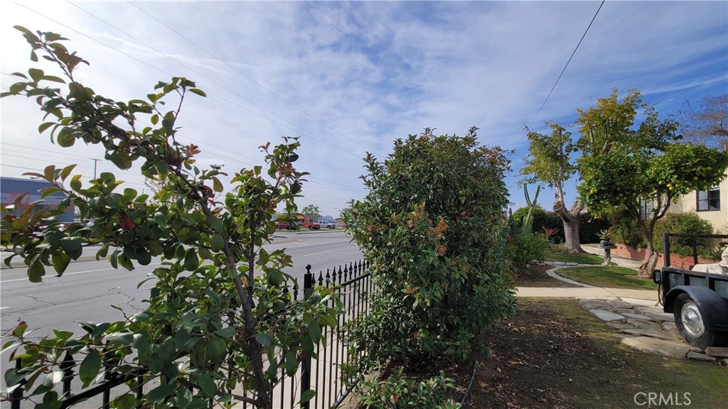 2701 Berkeley Street Bakersfield, CA 93305 - Photo 9 of 58 a view of a yard with plants and large trees