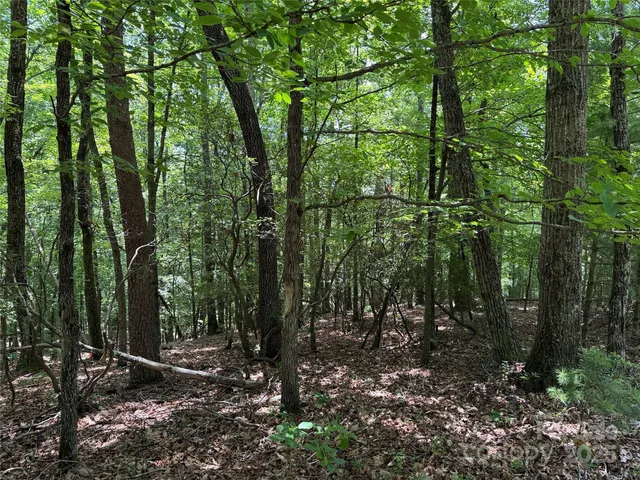 $34,900 | Tbd Pine Burr Drive, Unit 139, Purlear, NC 28665