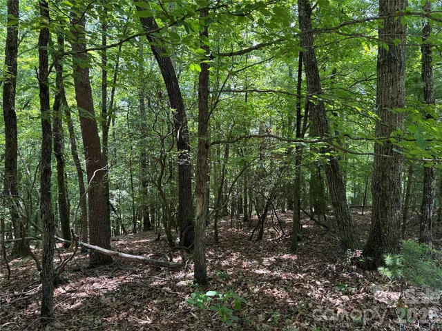 $34,900 | Tbd Pine Burr Drive, Unit 139, Purlear, NC 28665