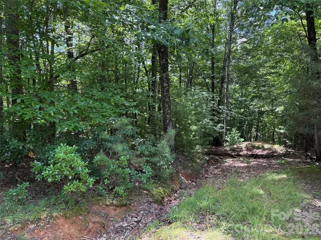 $34,900 | Tbd Pine Burr Drive, Unit 139, Purlear, NC 28665