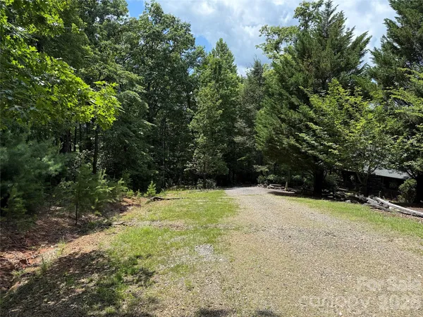 a view of a yard with a tree