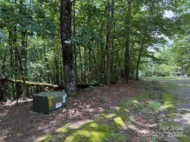 $34,900 | Tbd Pine Burr Drive, Unit 139, Purlear, NC 28665