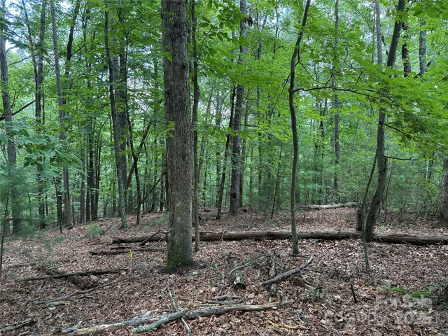 $34,900 | Tbd Pine Burr Drive, Unit 139, Purlear, NC 28665