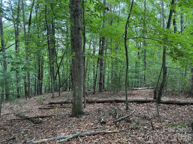 $34,900 | Tbd Pine Burr Drive, Unit 139, Purlear, NC 28665