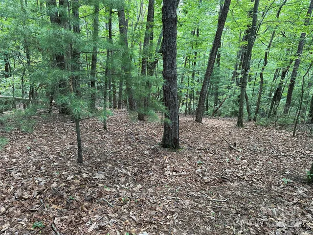 $34,900 | Tbd Pine Burr Drive, Unit 139, Purlear, NC 28665