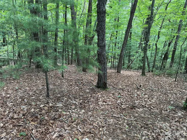 a fire hydrant in the middle of a forest