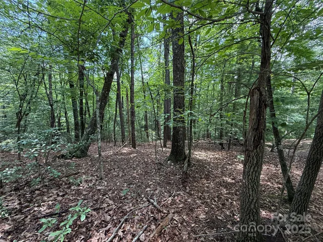 $34,900 | Tbd Pine Burr Drive, Unit 139, Purlear, NC 28665