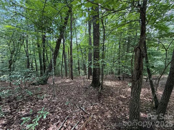 a view of outdoor space with lots of trees