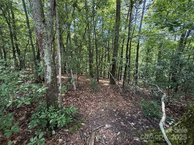 $34,900 | Tbd Pine Burr Drive, Unit 139, Purlear, NC 28665