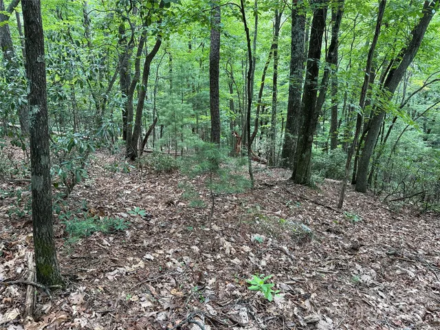 $34,900 | Tbd Pine Burr Drive, Unit 139, Purlear, NC 28665