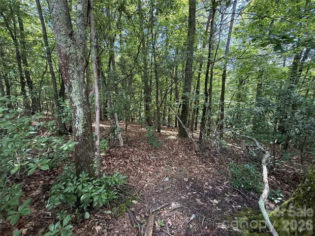 $34,900 | Tbd Pine Burr Drive, Unit 139, Purlear, NC 28665