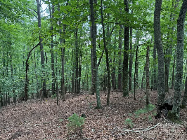 $34,900 | Tbd Pine Burr Drive, Unit 139, Purlear, NC 28665