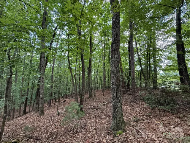 $34,900 | Tbd Pine Burr Drive, Unit 139, Purlear, NC 28665