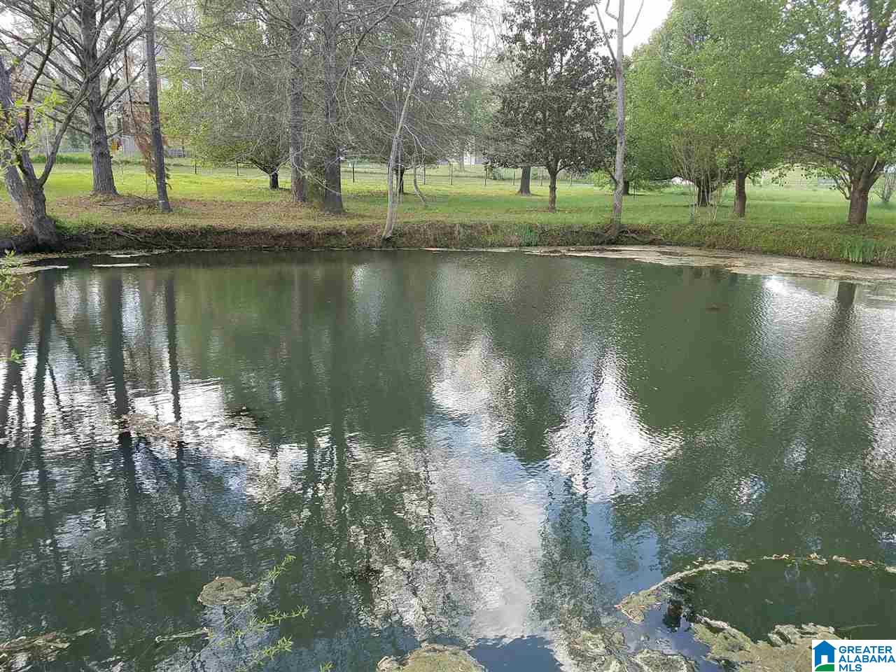 1 Frazier Circle, Unit 1 Pinson, AL 35126 - Photo 3 of 12
