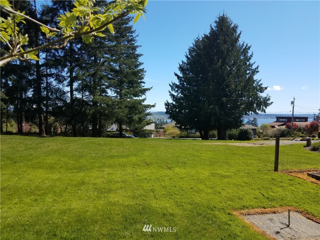 0 Lancaster Road Freeland, WA 98249 - Photo 1 of 11 a view of a park with large trees