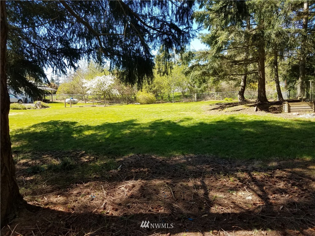 0 Lancaster Road Freeland, WA 98249 - Photo 3 of 11 a view of yard