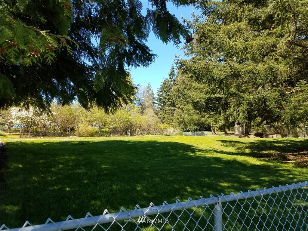 0 Lancaster Road Freeland, WA 98249 - Photo 6 of 11 a view of a golf course with a tree