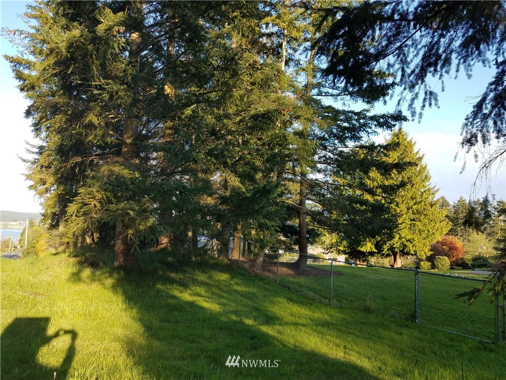 0 Lancaster Road Freeland, WA 98249 - Photo 10 of 11 a view of yard with green space